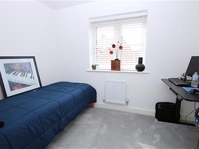 Picture 13